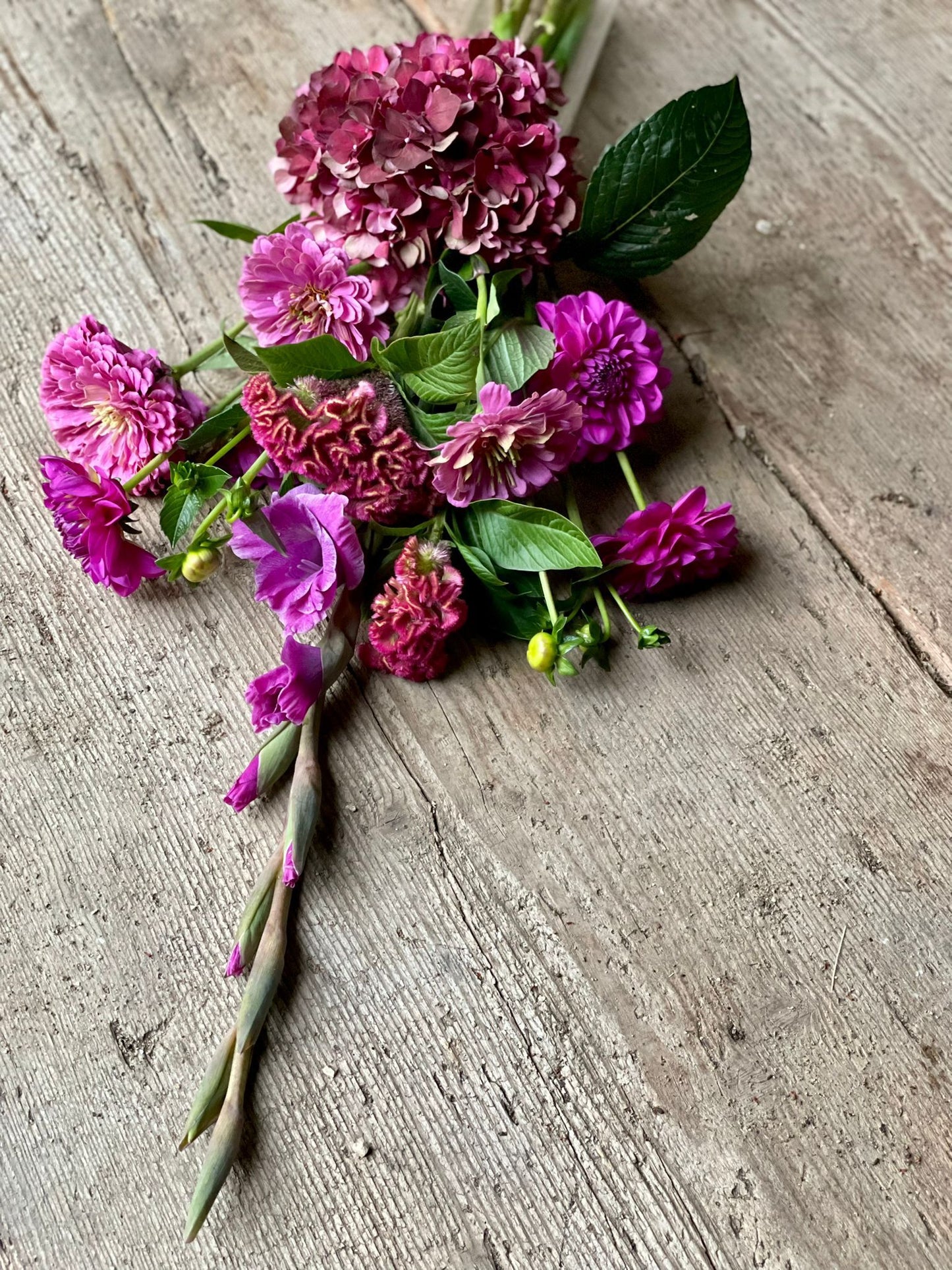 Blumenbund - Alltagsglück